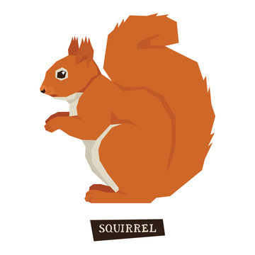 Wild Animals Collection Squirrel Geometric Style