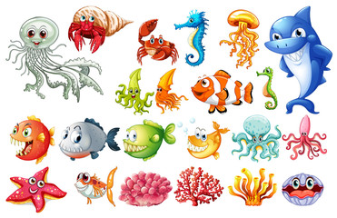 Different kinds of sea animals © GraphicsRF
