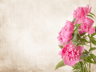 Bouquet of pink peonies