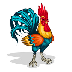  illustration of a rooster
