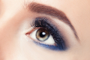 Macro Shot of Young European Woman's Beautiful Eye. Elegance CloseUp of Female Eye with Classic...