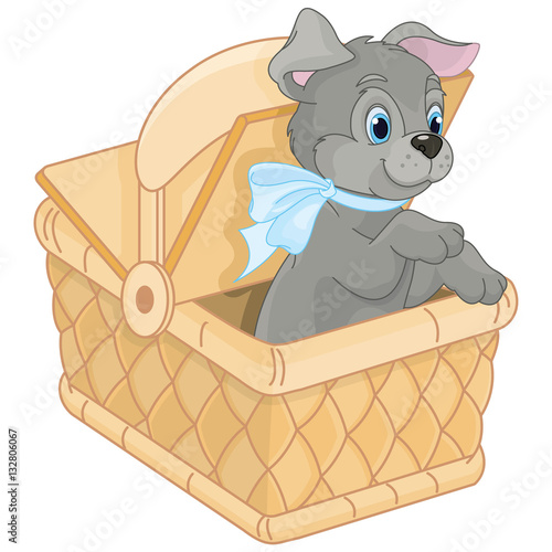 "Puppy sitting in a basket" Stock image and royaltyfree vector files
