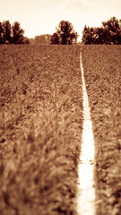 Field path