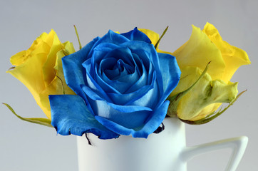 Blue rose and yellow roses flowers - 132807012