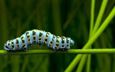 Blue caterpillar alone and lover  3D rendering