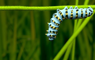 Blue caterpillar alone and lover  3D rendering