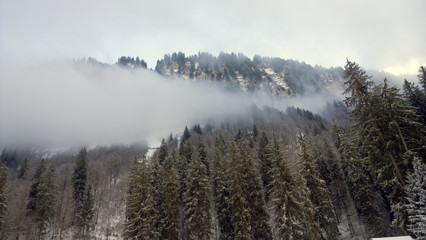 Snowy winter trees and cliffs of the french alps