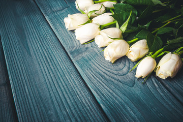 White roses flowers on blue wooden table.