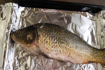 Raw carp on a baking sheet with foil prepared for cooking