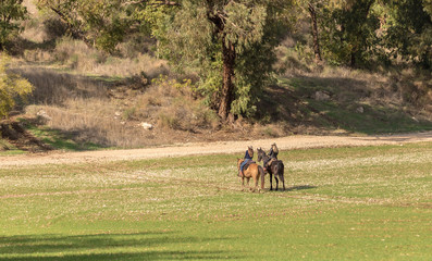 Obraz premium Two people riding on horseback