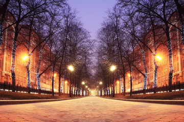 New Year's photos of the city, city street illumination