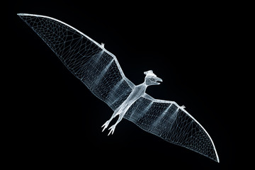Dinosaur Pteranodon in Hologram Wireframe Style. Nice 3D Rendering   © bombastic80