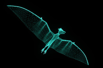 Dinosaur Pteranodon in Hologram Wireframe Style. Nice 3D Rendering   © bombastic80