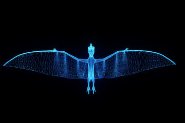 Dinosaur Pteranodon in Hologram Wireframe Style. Nice 3D Rendering   © bombastic80