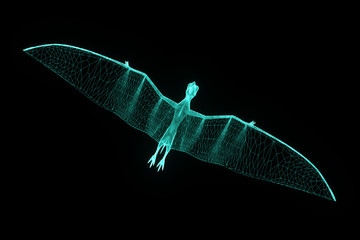 Dinosaur Pteranodon in Hologram Wireframe Style. Nice 3D Rendering   © bombastic80