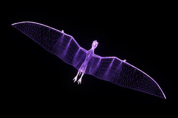 Dinosaur Pteranodon in Hologram Wireframe Style. Nice 3D Rendering   © bombastic80