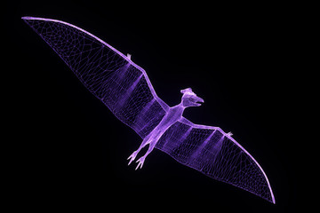 Dinosaur Pteranodon in Hologram Wireframe Style. Nice 3D Rendering   © bombastic80