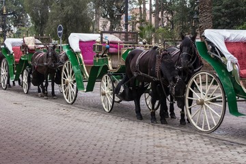 Fototapeta na wymiar Pferdekutschen stehen in einer Reihe auf einem Platz in Marrakesch, Marokko