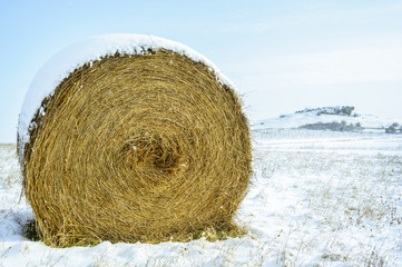 Strohballen im Schnee mit Hölzlstein