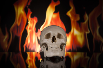 Ludzka czaszka z ogniem w tle - obrazy, fototapety, plakaty