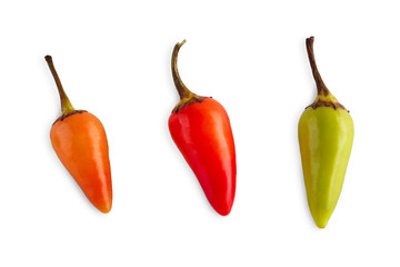 Small sort of chili peppers isolated on white background