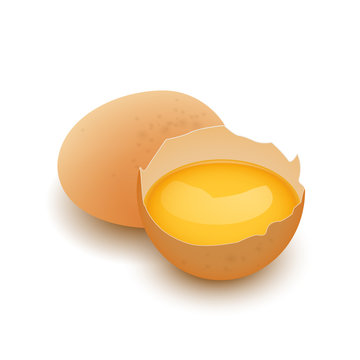 Whole egg and Broken egg shell with yolk, vector, isolated on white