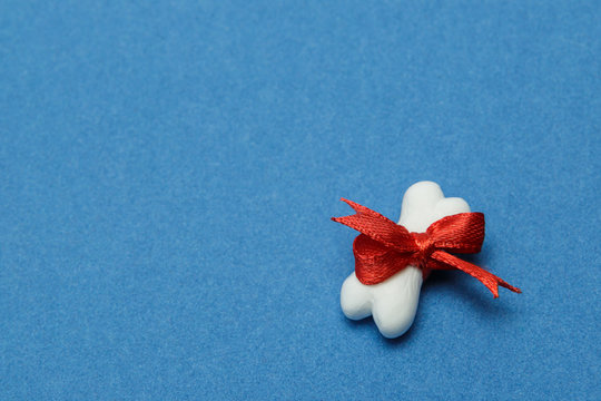 Toy a bone from plasticine