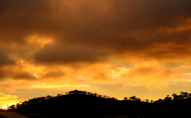 Dalat countryside in sunset with row of tree