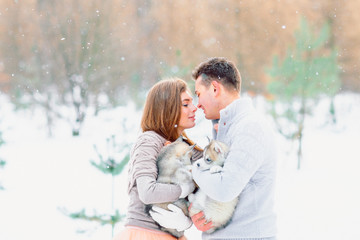 Fototapeta premium The bride and groom kiss. A guy and a girl holding puppies on hand.