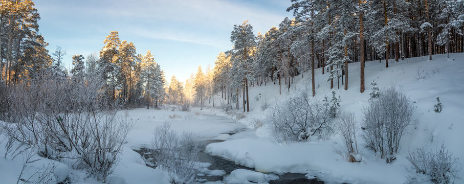 Sosny Bilder Durchsuchen 8,876 Archivfotos, und Videos