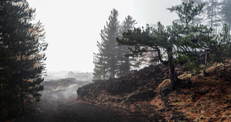 Fototapeta premium Etna
