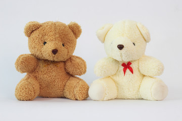 Two teddy bears on a white background.