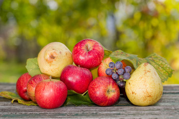 fruits outdoor
