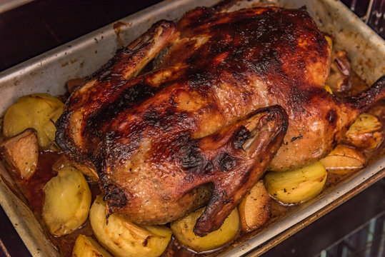 roast goose for the holiday