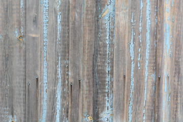 Obraz premium Texture of a dark tree.