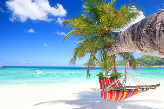 Urlaubsparadies auf den Seychellen, H&auml;ngematte am Strand