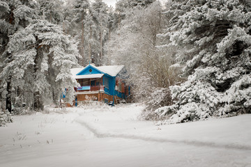 Winter shelter