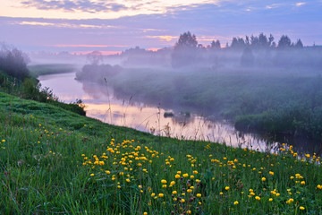  River in  fog at sunset and blooming meadows.