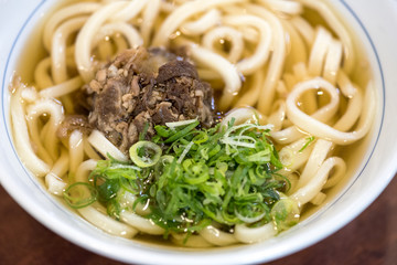 Traditional Japanese soup Udon with Beef and green Onion 