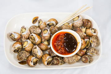 Sea snails is delicacy among Chinese in Hong Kong