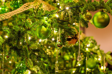 Holiday time in a garden with all the ornaments and trees.