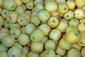 green apples for sale at the greengrocer