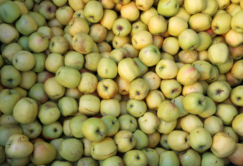 green apples for sale