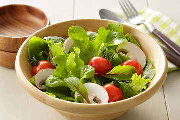 サラダ　Salad