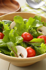サラダ　Salad