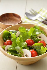 サラダ　Salad