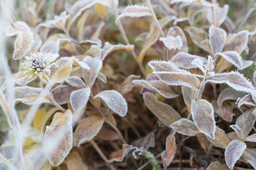 Winter in Czech Republic