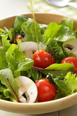 サラダ　Salad