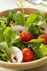 サラダ　Salad