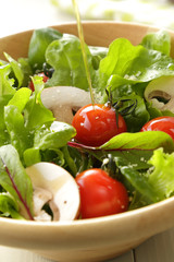 サラダ　Salad